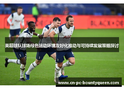 英超球队球场绿色运动环境友好化推动与可持续发展策略探讨